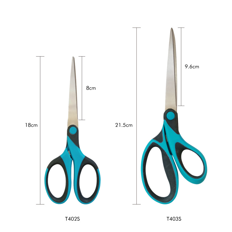 T402S-T403S