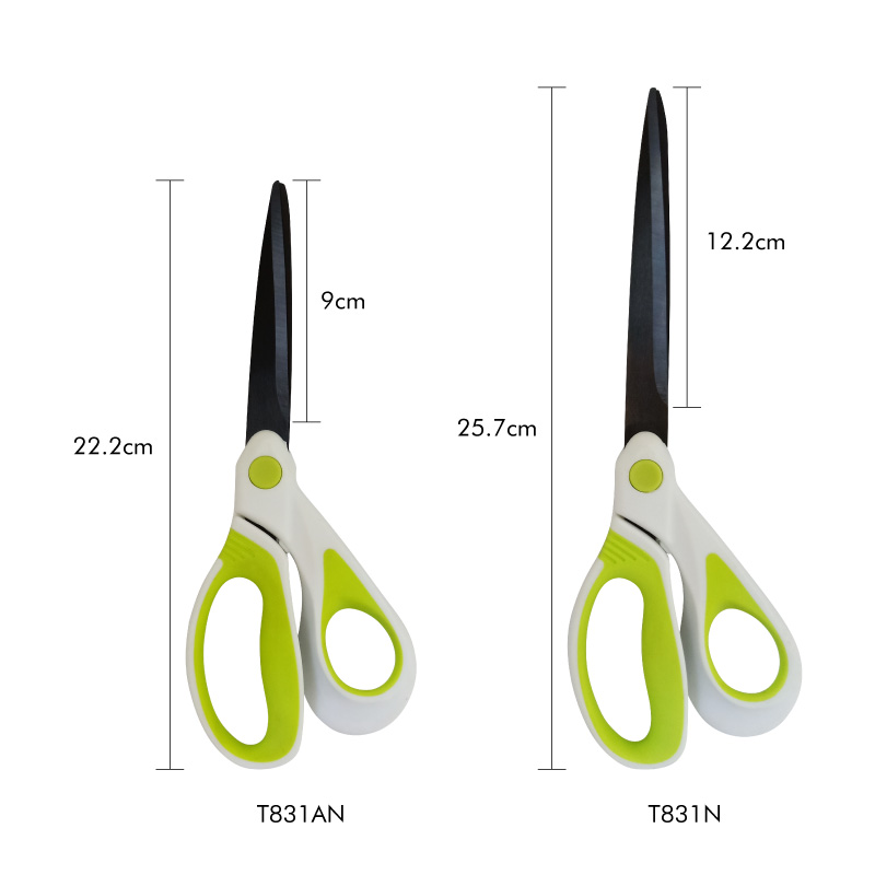 T8131AN-T813N