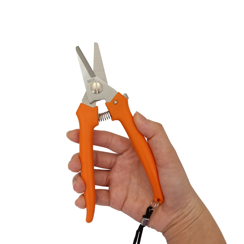 G011